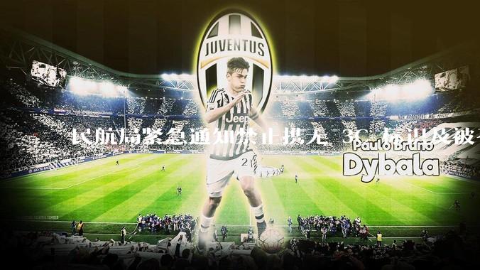 民航局紧急通知禁止携无 3C 标识及被召回的充电宝乘境内航班，无 3C 标识充电宝有哪些安全隐患？